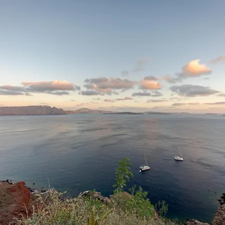 Helianthus Dream Homes